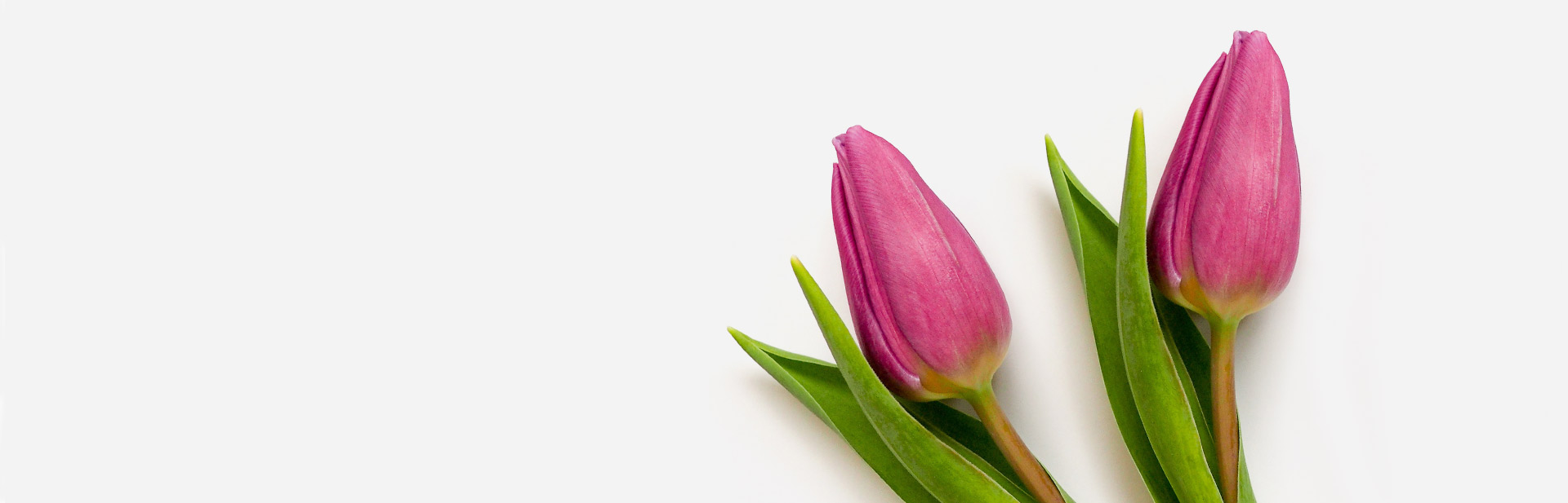 h3-slider-background