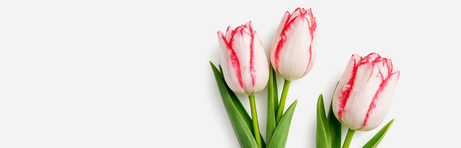 h3-slider-background77